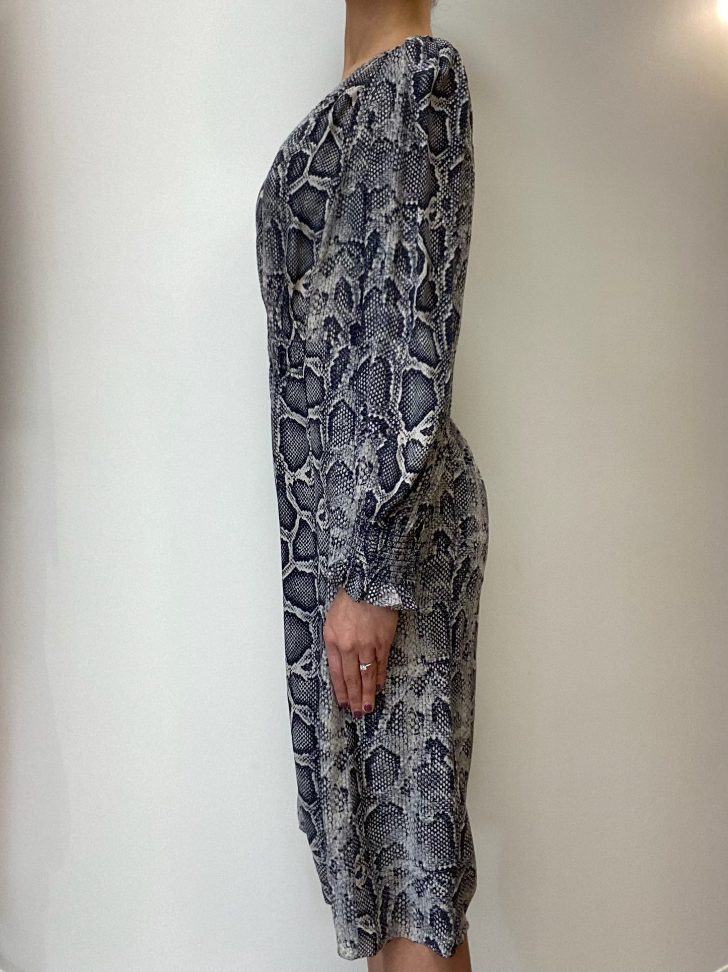 Rebecca Taylor Snake-print Silk Dress Size 6