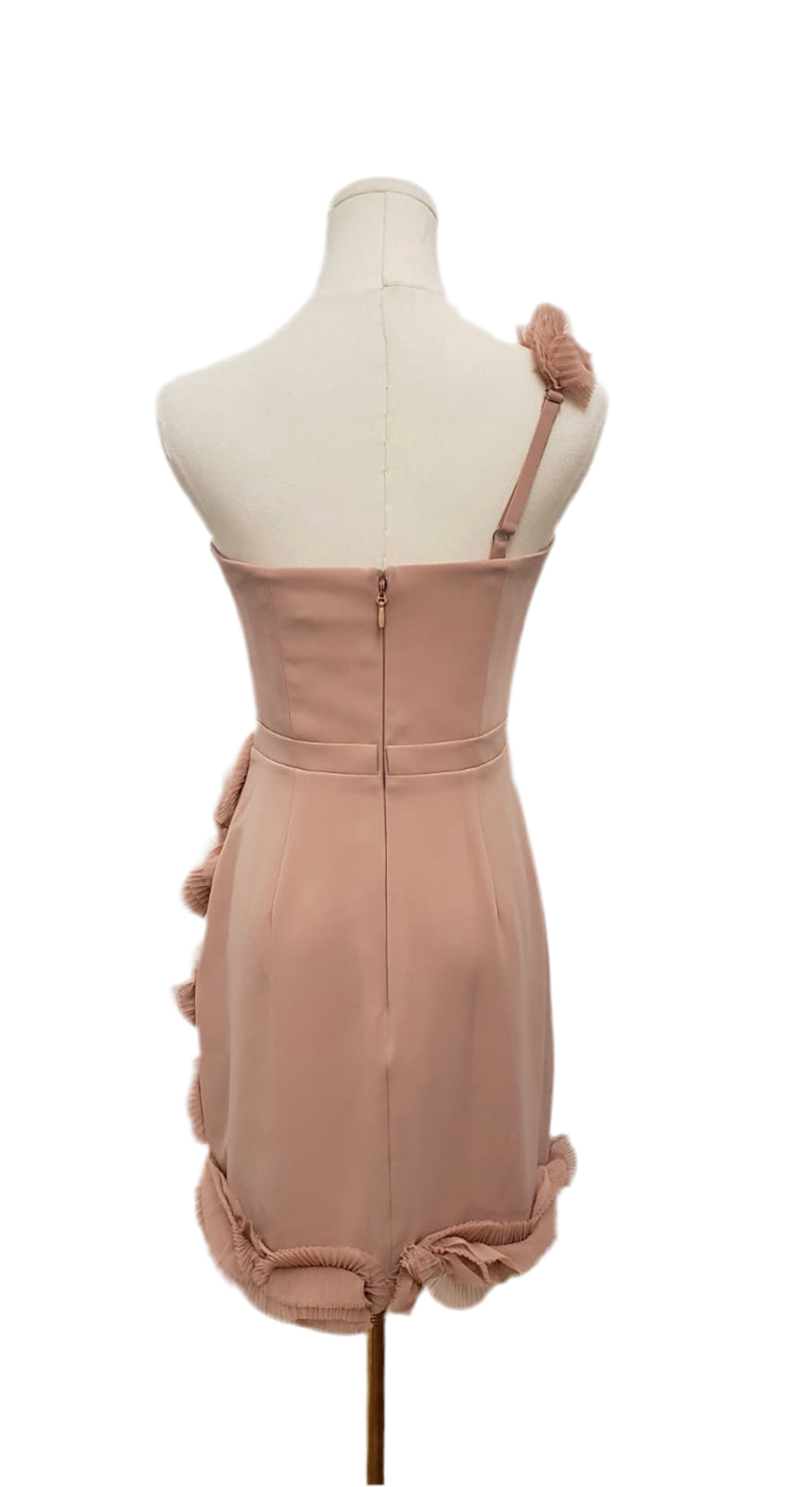BCBG Max Azria Camielle Antique Rose Dress Size 4