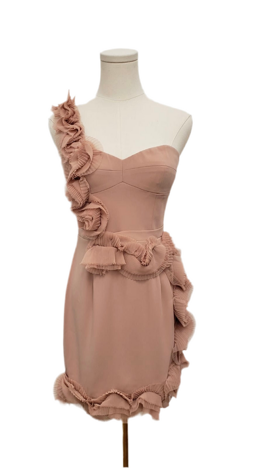BCBG Max Azria Camielle Antique Rose Dress Size 4