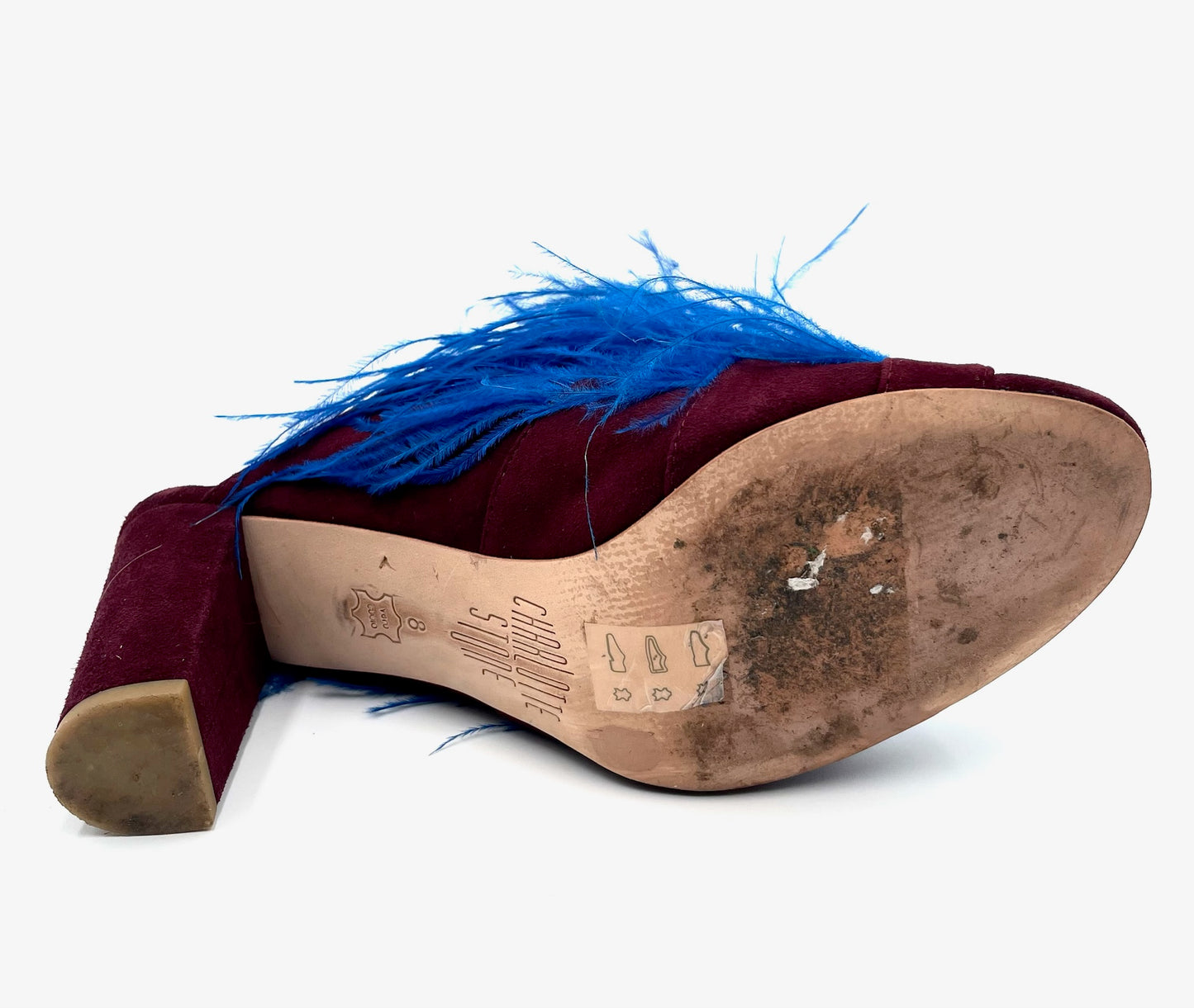 Charlotte Stone Fara Blue & Burgundy Feathered Mule Size 8