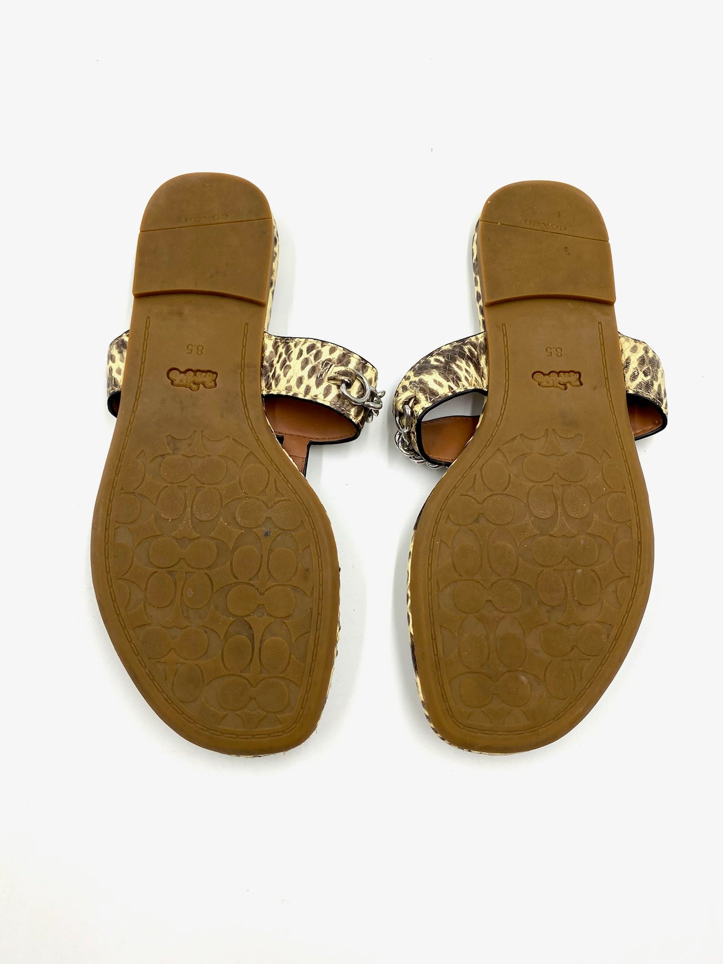 Coach snakeskin leather thong flat sandals, size 8.5, with brown soles and chain detail.