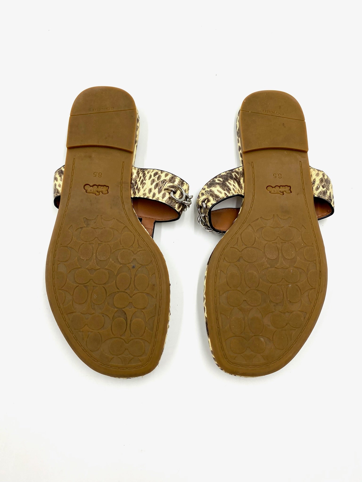 Coach snakeskin leather thong flat sandals, size 8.5, with brown soles and chain detail.