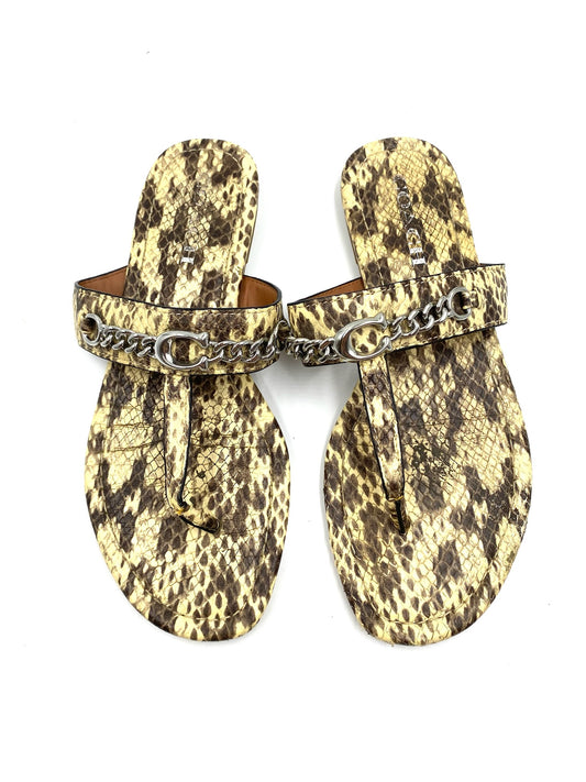 Coach snakeskin leather thong flat sandals, size 8.5, with silver chain detail.