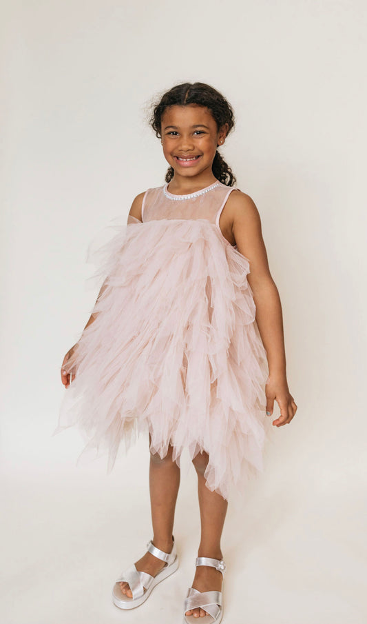 Rose Ruffle Sleeveless  Size 5T