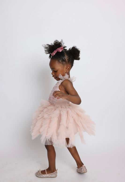 Lola Ruffle Pink Tulle Kids Size 18-24M